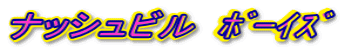 $B%J%C%7%e%S%k!!(IN^02=^(B