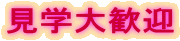w劽}